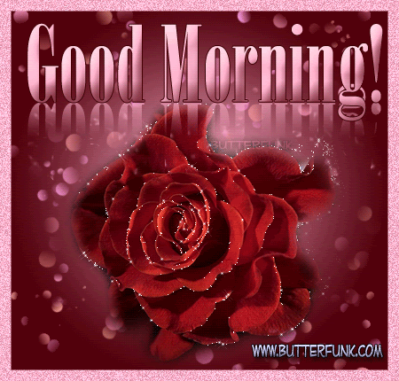 Morning Gorgeous