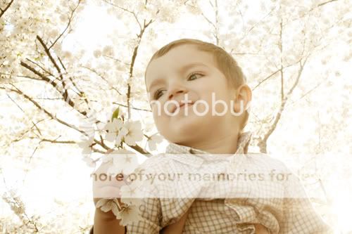 Baltimore Maryland Photographer Amanda Arnold It Flies By itfliesby