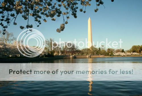 Baltimore Maryland Photographer Amanda Arnold It Flies By itfliesby