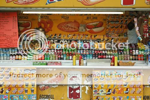 Baltimore Maryland Photographer Amanda Arnold It Flies By itfliesby