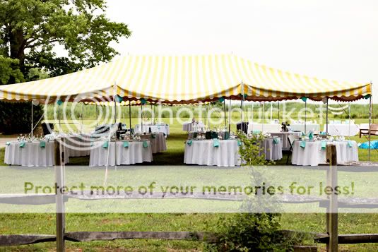 maryland wedding photographer amanda arnold it flies by itfliesby