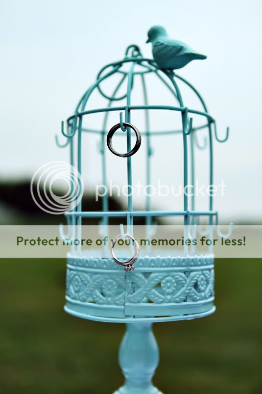 maryland wedding photographer amanda arnold it flies by itfliesby