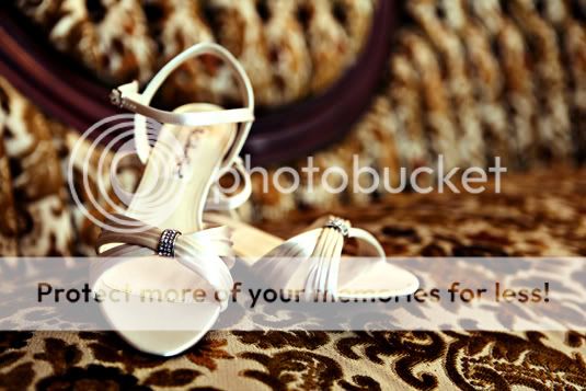 Maryland Wedding Photographer Amanda Arnold It Flies By