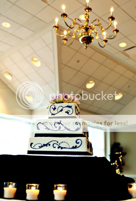 Maryland Wedding Photographer Amanda Arnold It Flies By