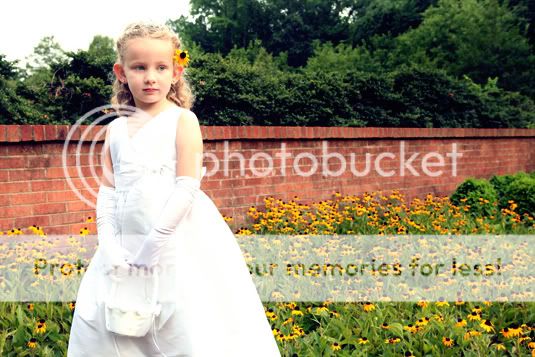 Baltimore Maryland Wedding Photographer Amanda Arnold It Flies By