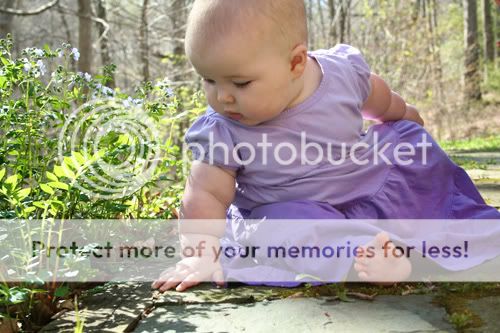 Baltimore Maryland Photographer Amanda Arnold It Flies By itfliesby