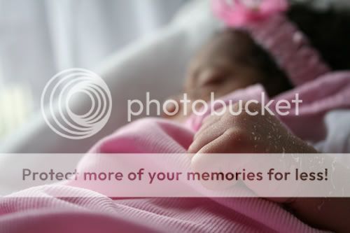 Baltimore Maryland Newborn Photographer Amanda Arnold It Flies By itfliesby