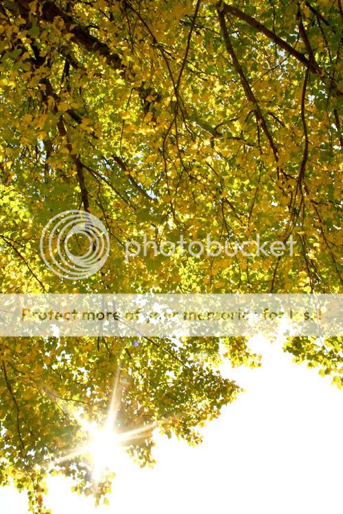 Baltimore Maryland Photographer Amanda Arnold It Flies By itfliesby