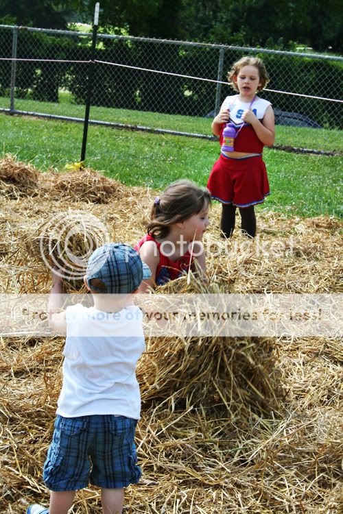 Baltimore Maryland Photographer Amanda Arnold It Flies By itfliesby