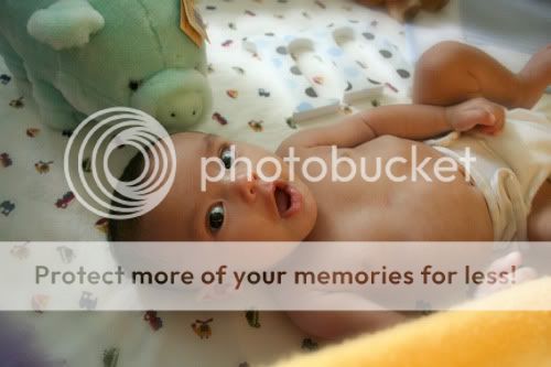 Baltimore Maryland Photographer Amanda Arnold It Flies By itfliesby