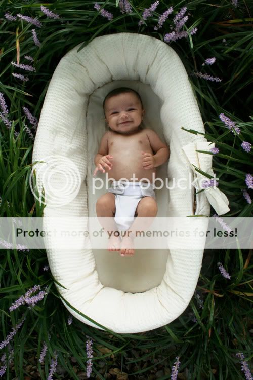 Baltimore Maryland photographer Amanda Arnold