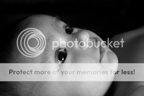 Baltimore Maryland photographer Amanda Arnold