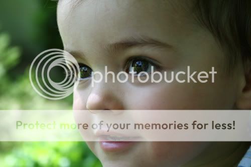 Baltimore Maryland Photographer Amanda Arnold It Flies By itfliesby