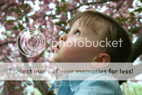 Baltimore Maryland Photographer Amanda Arnold It Flies By itfliesby