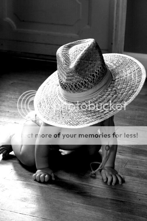 Maryland Photographer Amanda Arnold