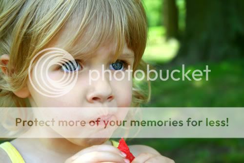 Baltimore Maryland Photographer Amanda Arnold It Flies By itfliesby