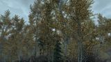 th_MoodsofSkyrim061_zps8cf144e5.jpg