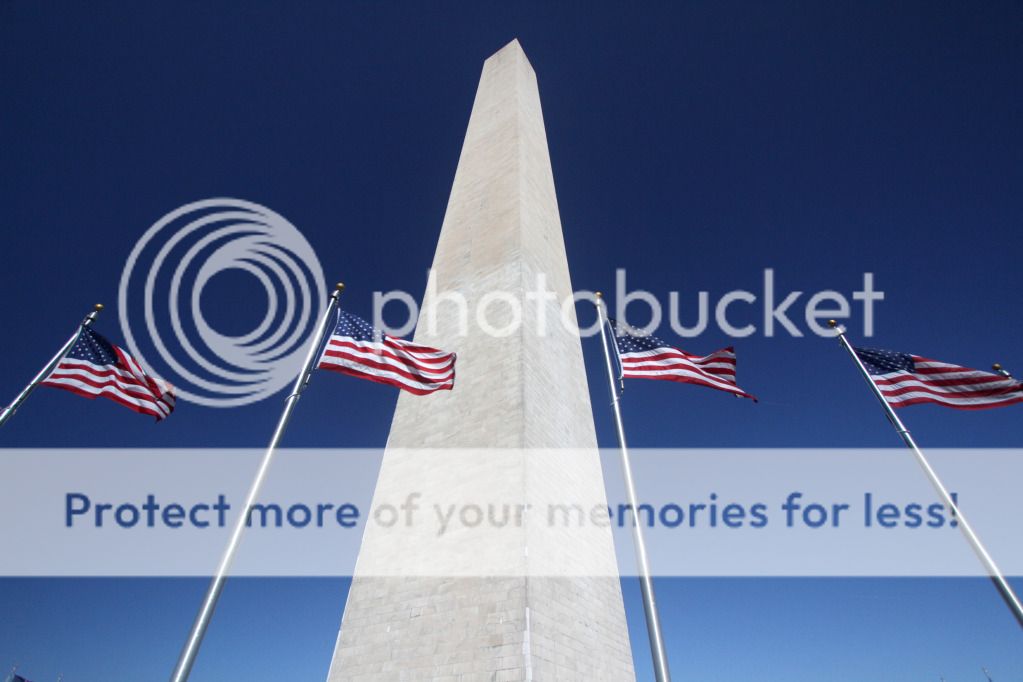IMAGE: http://i695.photobucket.com/albums/vv313/Nerice/12-0311%20Washington%20DC/12-0311WashingtonDCIMG_8450.jpg