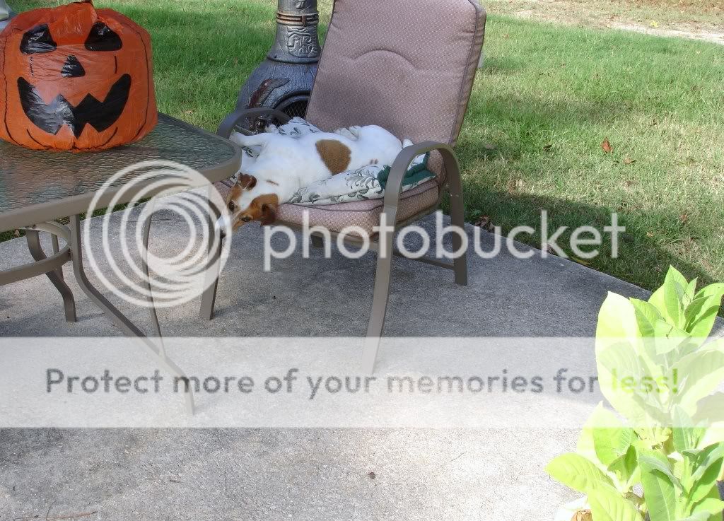 Posted Image