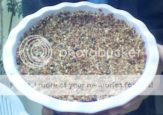 raw apple pie crust