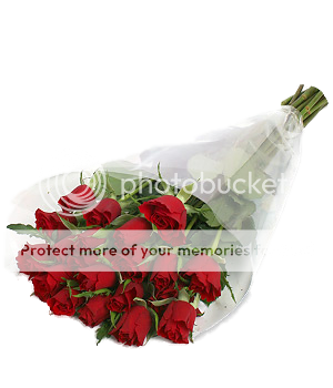  photo 20redrosescutoutanniver.png