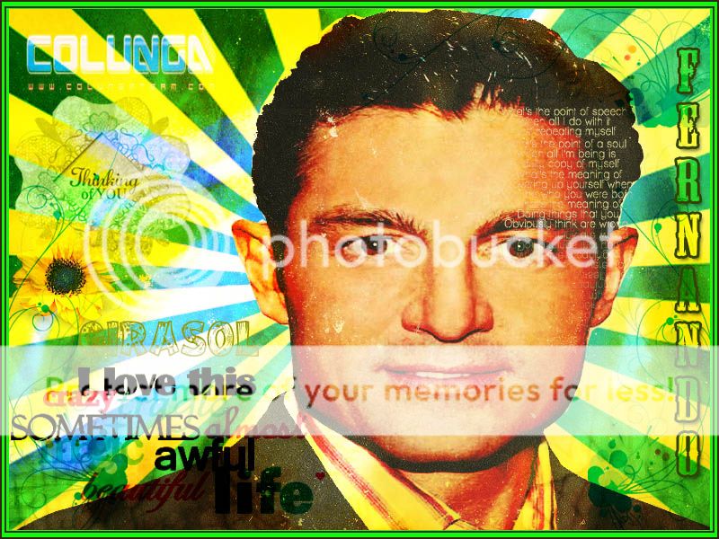 VERDE 2012 photo a38b4295.jpg