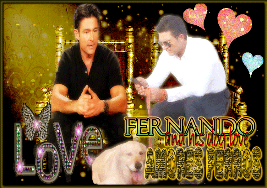  photo amoresperros_zps5766c944.gif