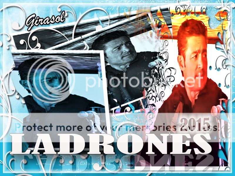 photo baner1girasol_zpsytv2coo1.jpg