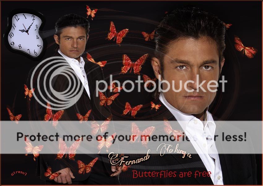  photo buterflies_zpsa9d102fe.jpg