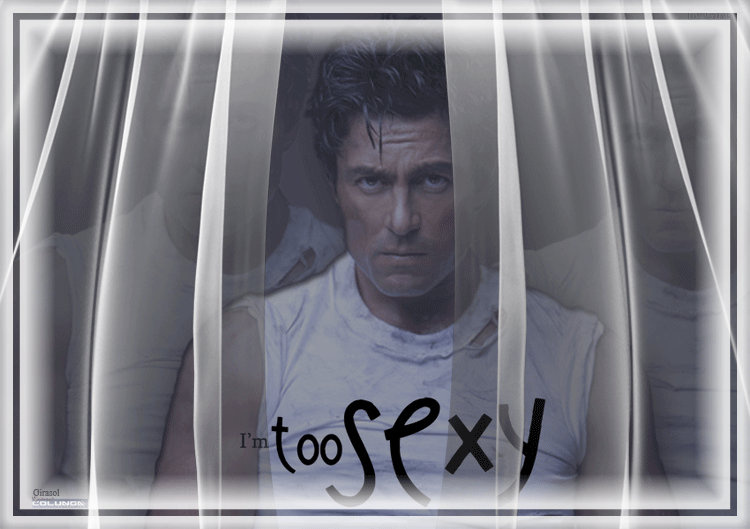  photo cortina2_zps606ec568.gif