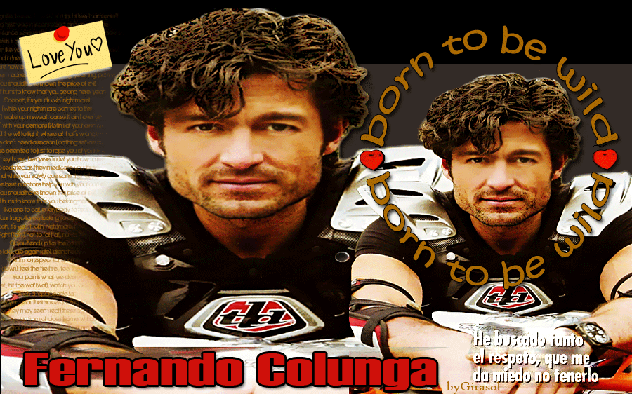 MOTO GIF photo motogif_zpsebed020c.gif