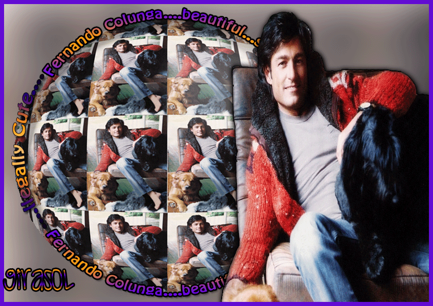  photo perros_zpscd7e22a7.gif