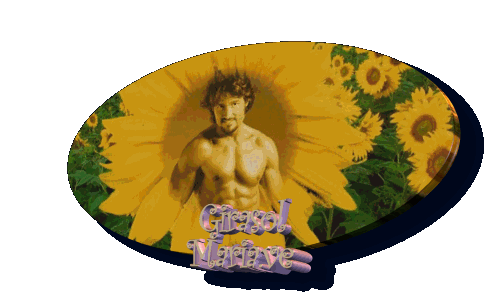 MARIAVEMECHEREGALO photo c478fca4.gif