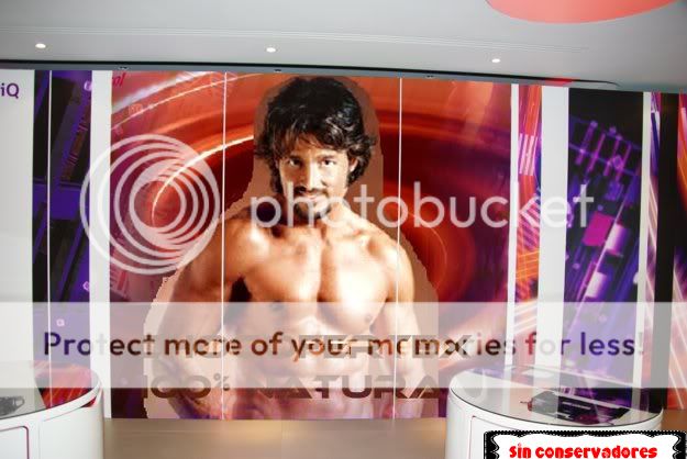  photo belanova-13-1.jpg