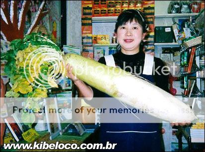  photo Nabo.jpg