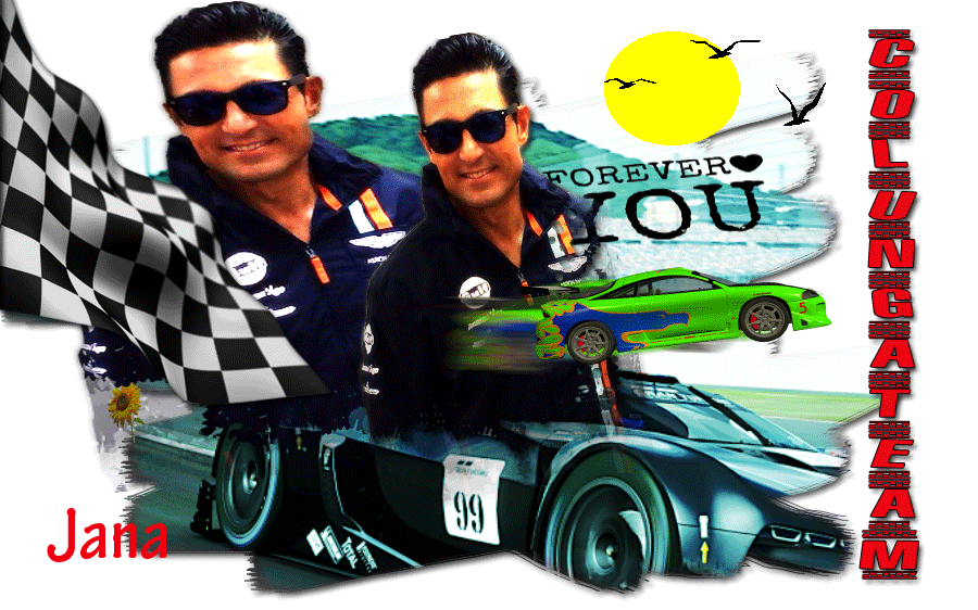  photo racecargifjana_zps1e6ed289.gif