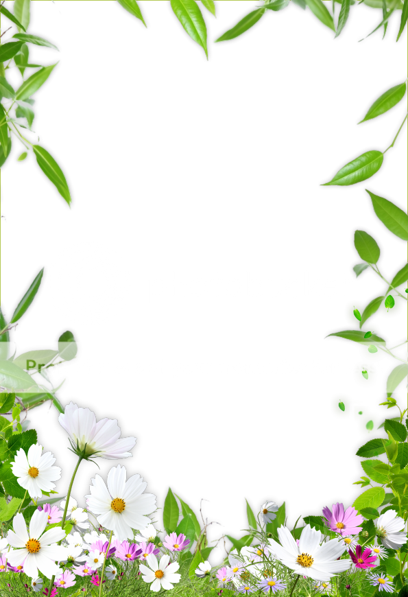  photo pillflo_frame_marijja_zps193a2e88.png