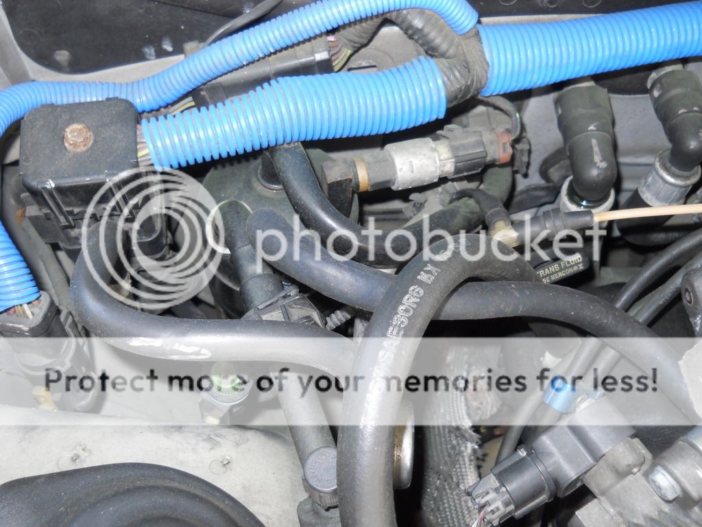 Vapor Management Valve.... Forums at Modded Mustangs