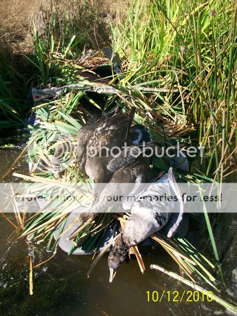 Marsh Rat boat Waterfowl Boats, Motors, & Boat Blinds