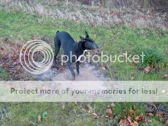 DSCF3316.jpg
