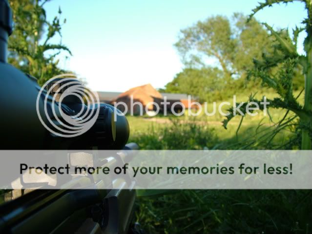 DSCF3933.jpg