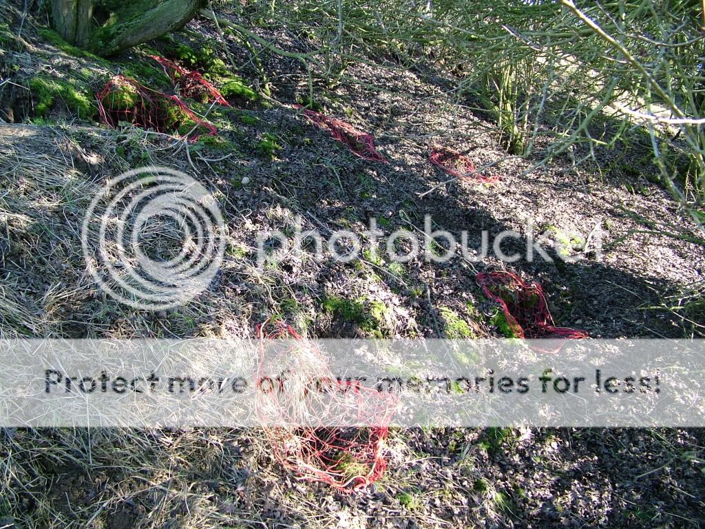 DSCF3716.jpg