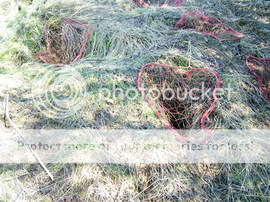 DSCF3721.jpg