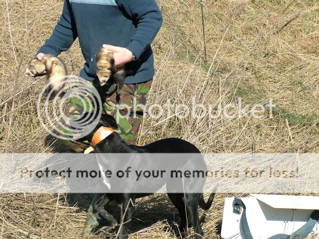 DSCF3749.jpg