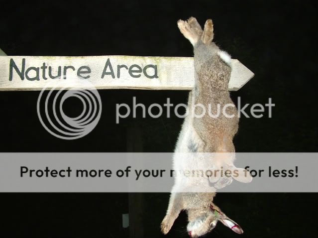 DSCF3912.jpg