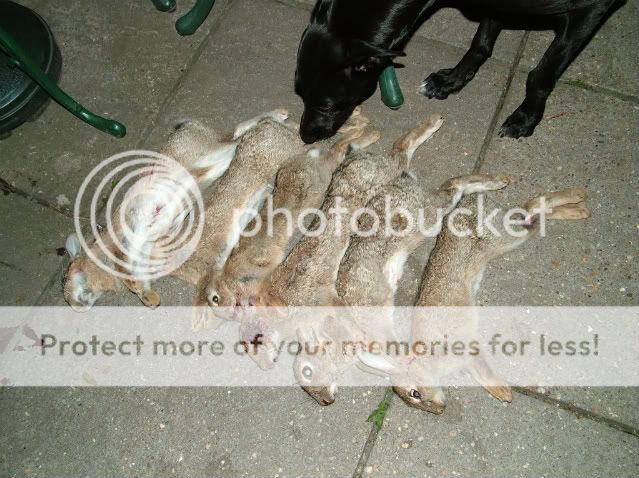 DSCF4093.jpg