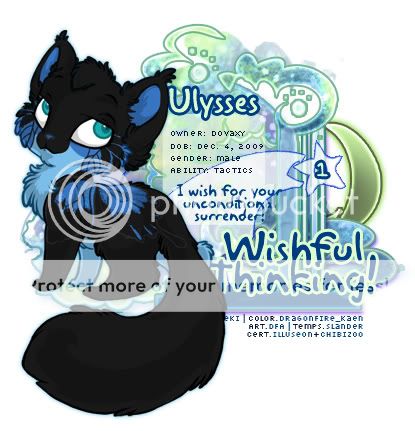 User Image