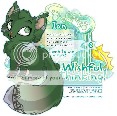 User Image